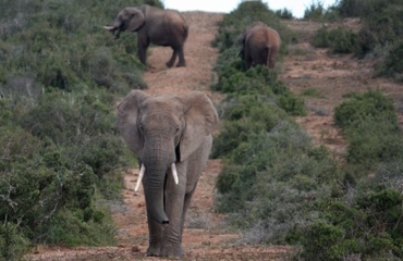 Südafrika