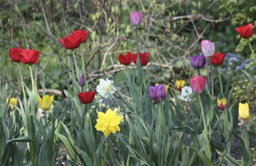 Im Garten