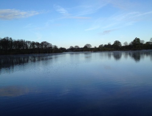 Morgens am Einfelder See