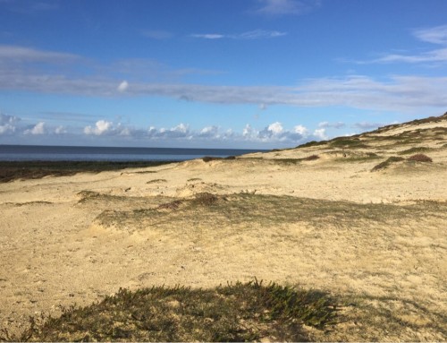 Auf der Insel