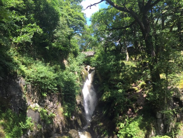 Aira Force